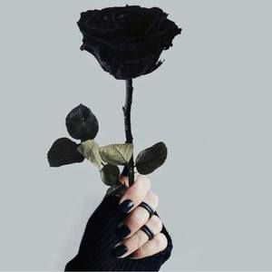 Meet your Posher, Marlen